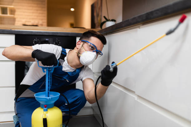 Best Bed Bug Extermination  in Westover, AL