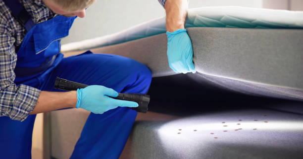 Best Pest Control Near Me  in Westover, AL