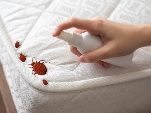 Best Pest Removal Services  in Westover, AL