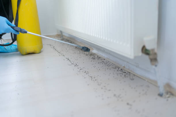 Best Best Pest Control Companies  in Westover, AL
