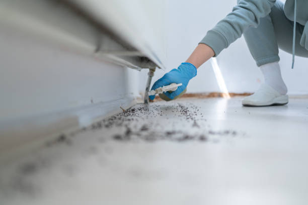 Best Wasp Removal Services  in Westover, AL